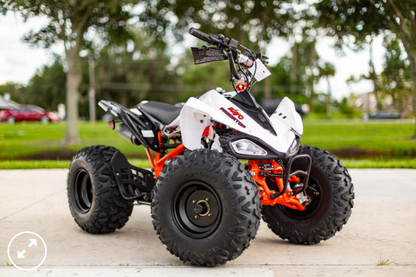 2022 Kayo 125 Predator